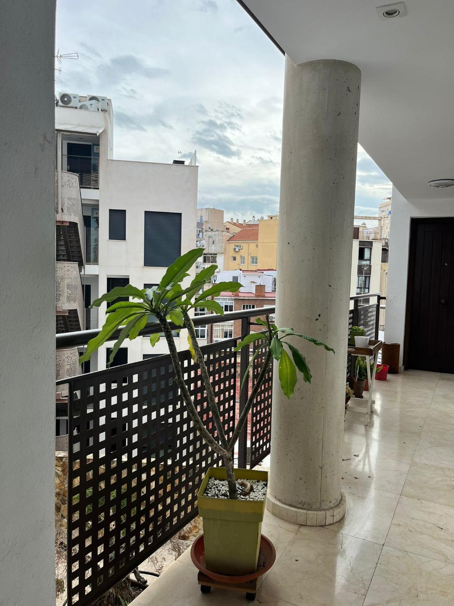 El Torcal Luxury Apartment With Free Parking マラガ エクステリア 写真